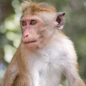 Meet your Posher, Rania